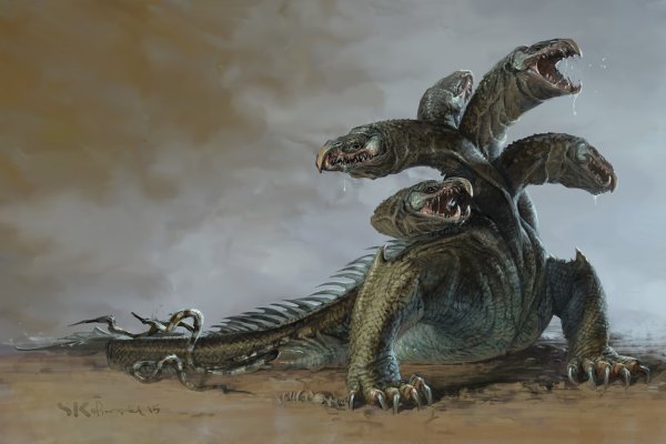 Kraken рынок