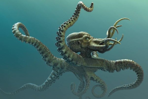 Маркетплейс кракен kraken