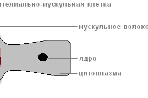 Кракен настоящий сайт