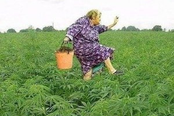Зайти в кракен