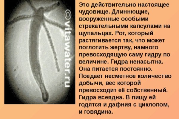 Скачать кракен тор