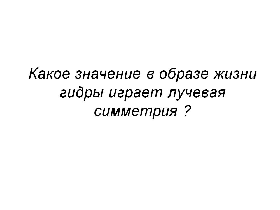 Кракен зеркало впн