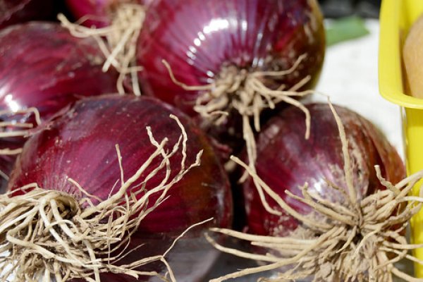 Kraken адрес onion